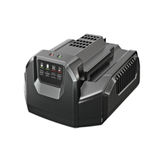 Ego Chargeur standard 210W